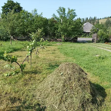 Медовий Двір Bed & Breakfast Izky