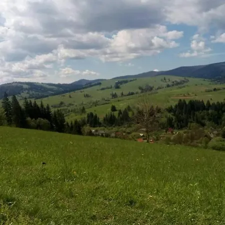 Медовий Двір